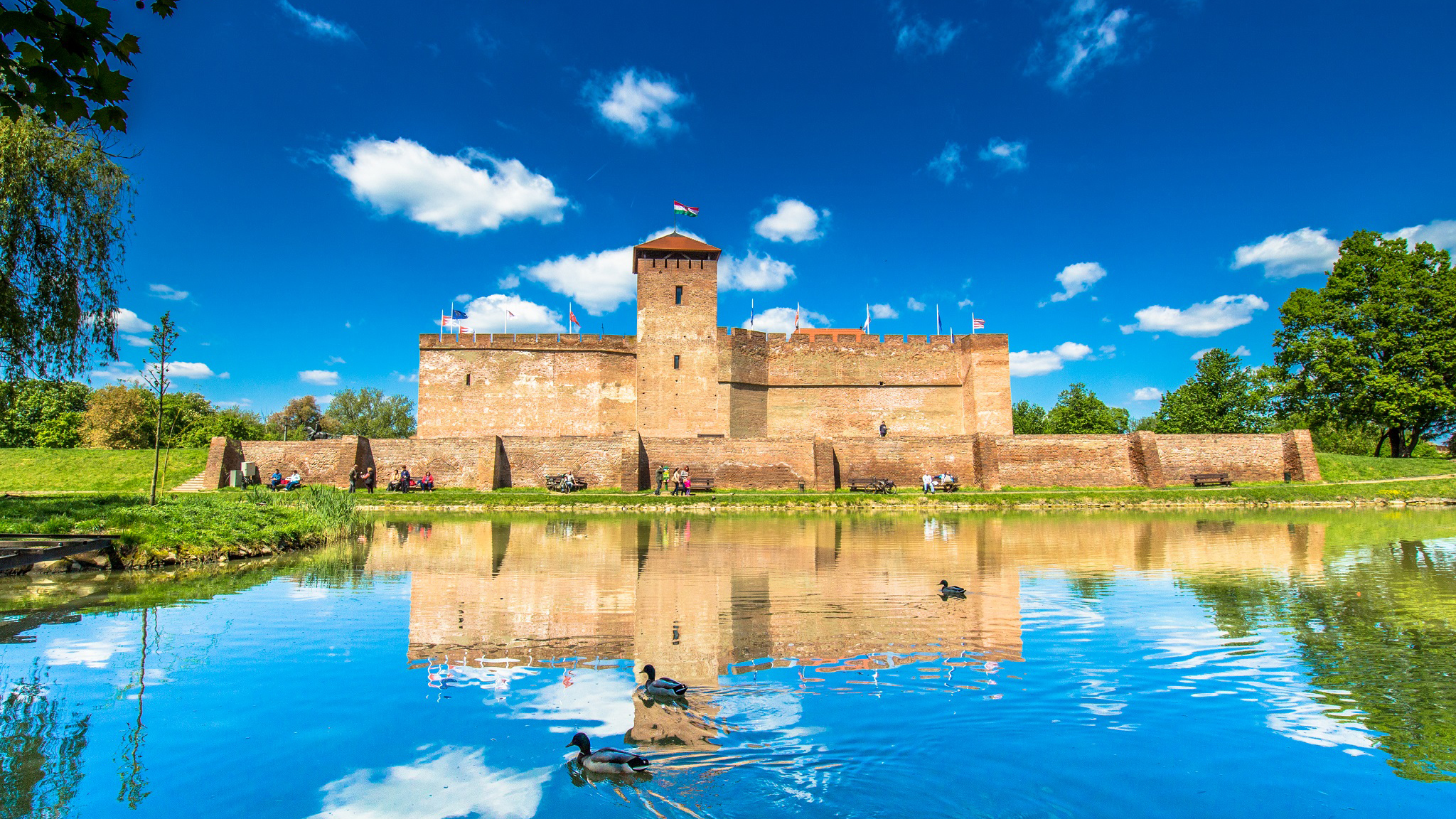 Stage 1 (Gyula - Békéscsaba, 143 km) 13 May 2026